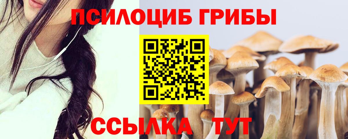 Реж  Псилоцибиновые грибы мухоморы  Вход с VPN 