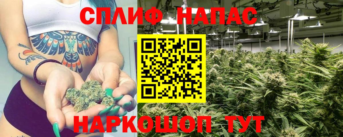 Конопля Amnesia  Марихуана семена  Вход с VPN  Реж  Канабис гибрид 